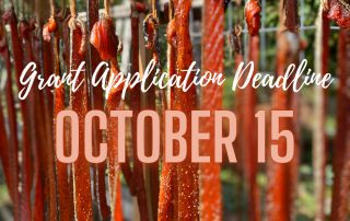 Flyer of Native Cultures Fun Grant Application deadline