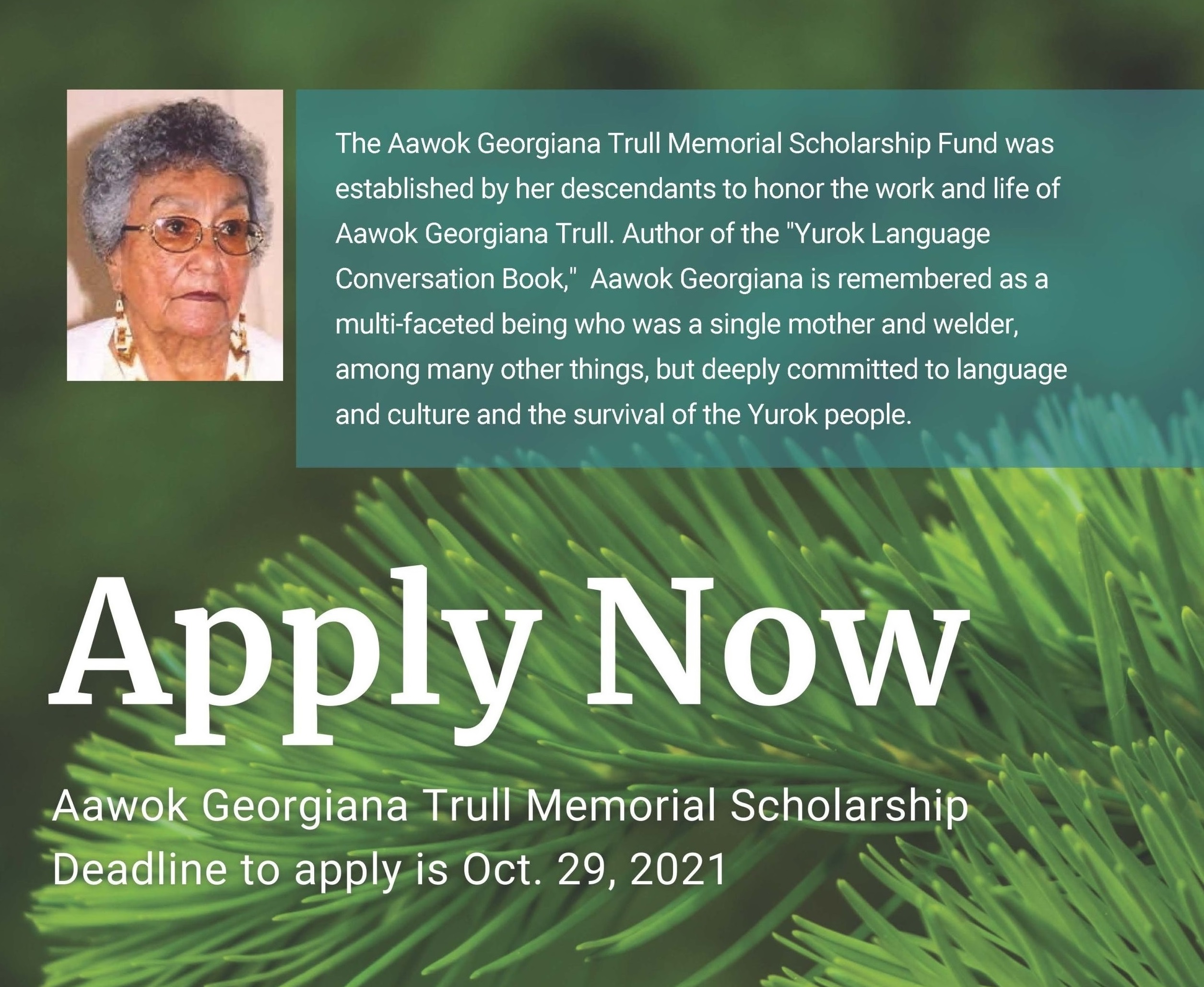 Cover of Aawok Georgiana Trull Memorial Scholarship flyer