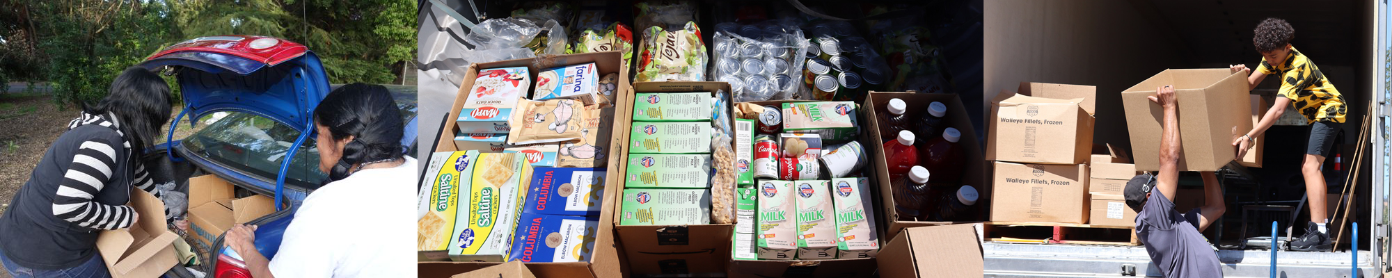 Food_dist_banner.webp