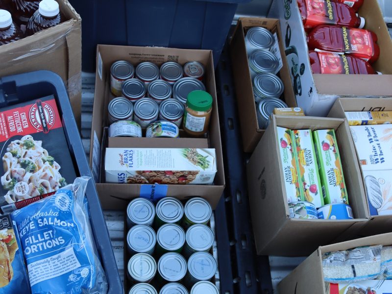 Many more canned goods, juices, fresh fruits, canned meats, cereals, breads and creamers. Large blue tub shown holding almost 100 pounds of frozen various meats and meals.
