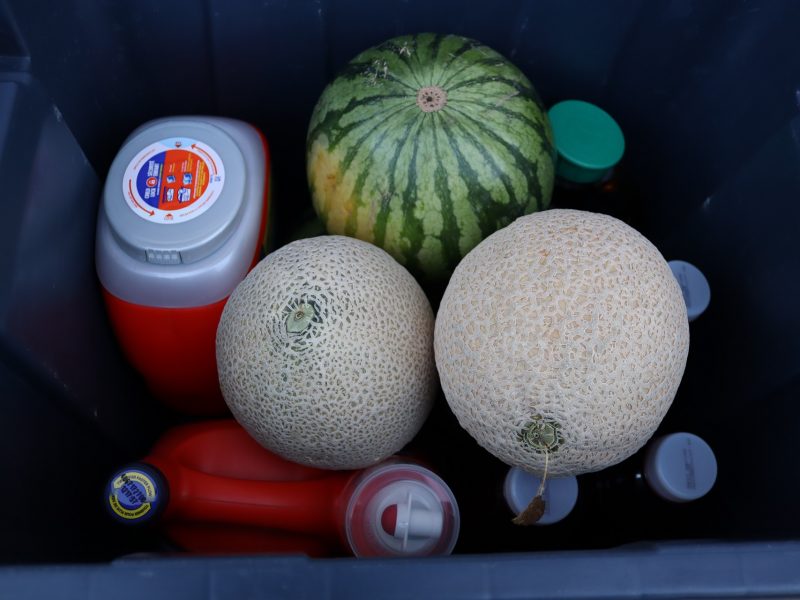 Various melons, juices and cleaning supplies.