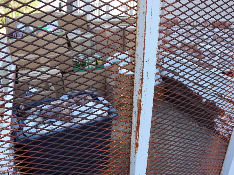 End of day and quite a lot of deliveries with plenty of meats for barbecues. Barbecue meat being delivered during June 2024 USDA food distribution.